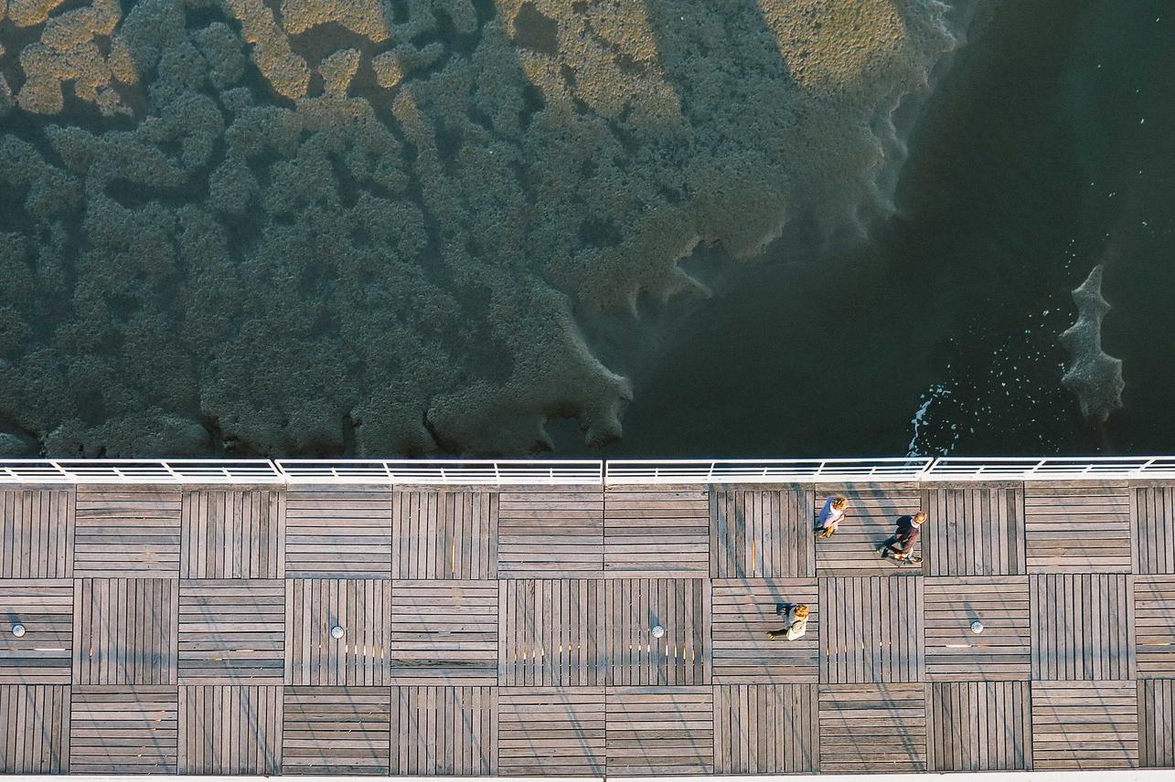 Aut dicta fugit et soluta voluptatibus aut quasi