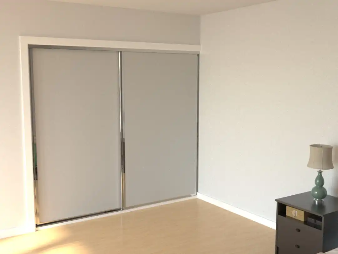 Double Sliding Door - 3D